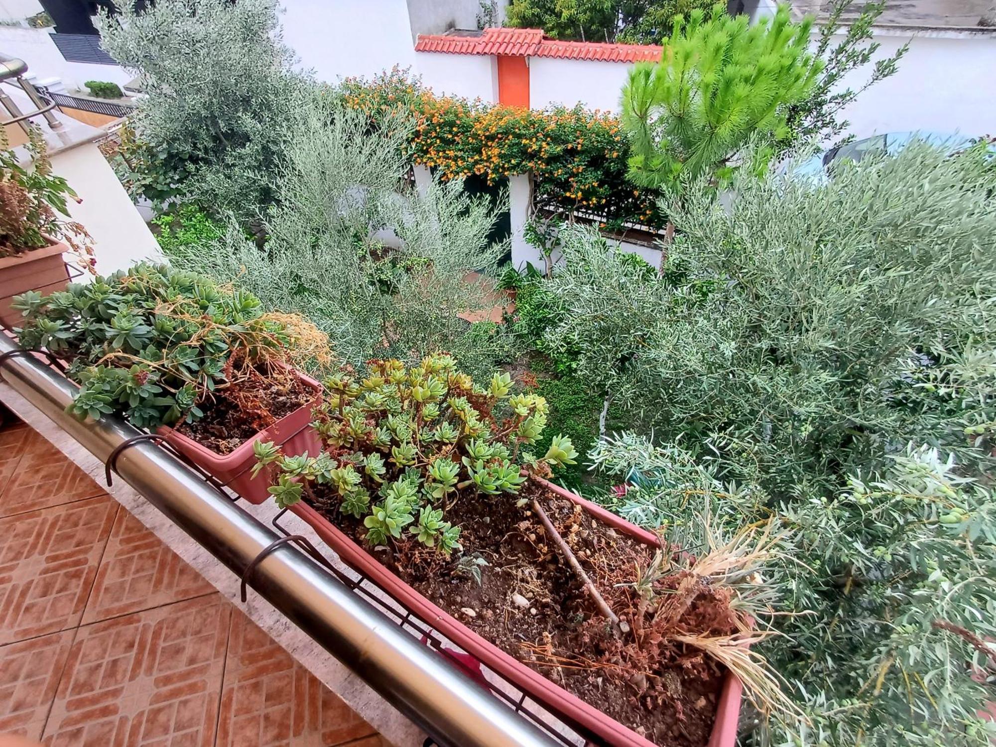 Guest Room Near Historical Center Vlorë エクステリア 写真